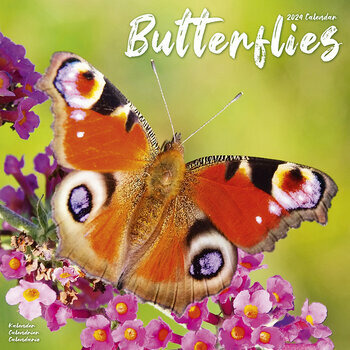 Calendrier 2024 Papillon Calendrier 2024 Papillon