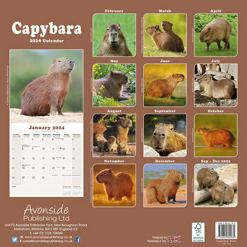 Calendrier 2024 Capybara Cabiai Calendrier 2024 Capybara Cabiai