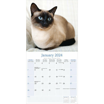 Calendrier 2024 Chat siamois Calendrier 2024 Chat siamois