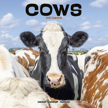 Calendrier 2024 Vache