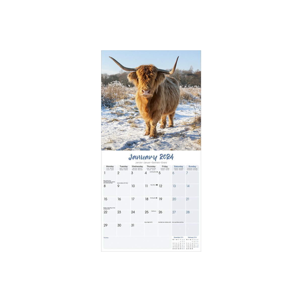 Calendrier 2024 Vache Highland