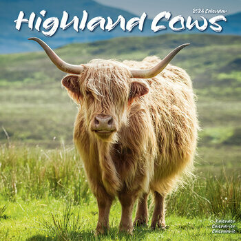 Calendrier 2024 Vache Highland