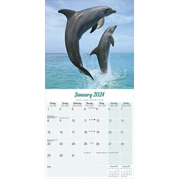 Calendrier 2024 Dauphin Calendrier 2024 Dauphin