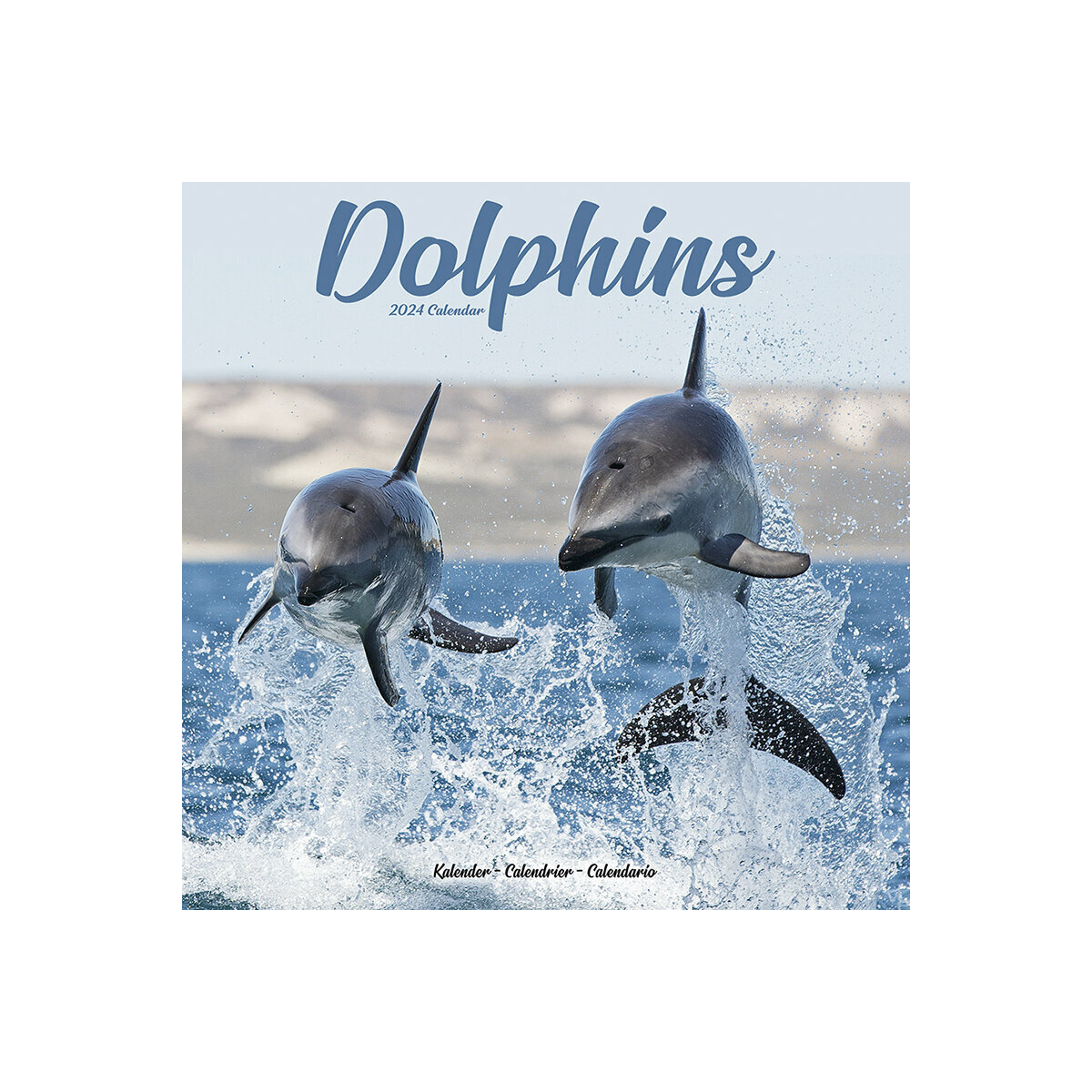 Calendrier 2024 Dauphin