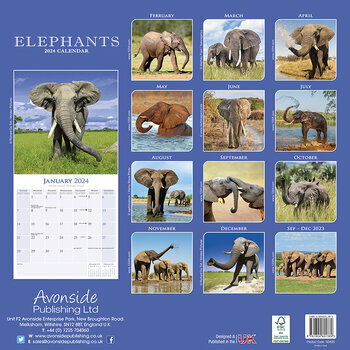 Calendrier 2024 Elephant