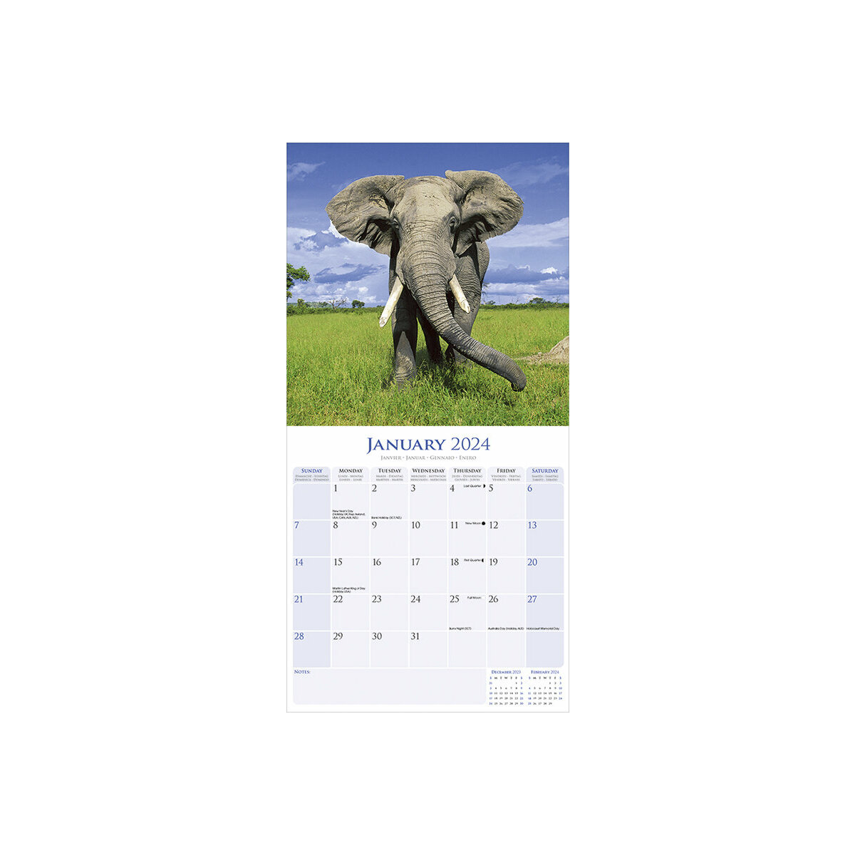 Calendrier 2024 Elephant