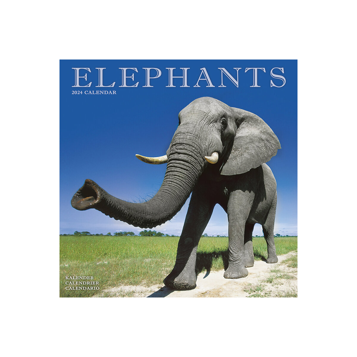 Calendrier 2024 Elephant