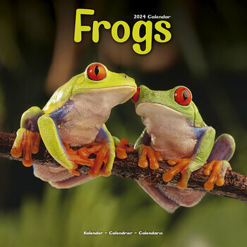 Calendrier 2024 Grenouille Calendrier 2024 Grenouille