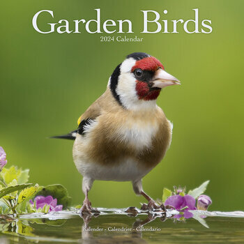Calendrier 2024 Oiseaux du jardin
