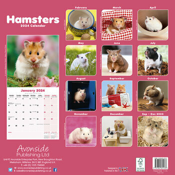 Calendrier 2024 Hamster