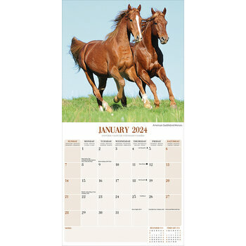 Calendrier 2024 Chevaux Calendrier 2024 Chevaux