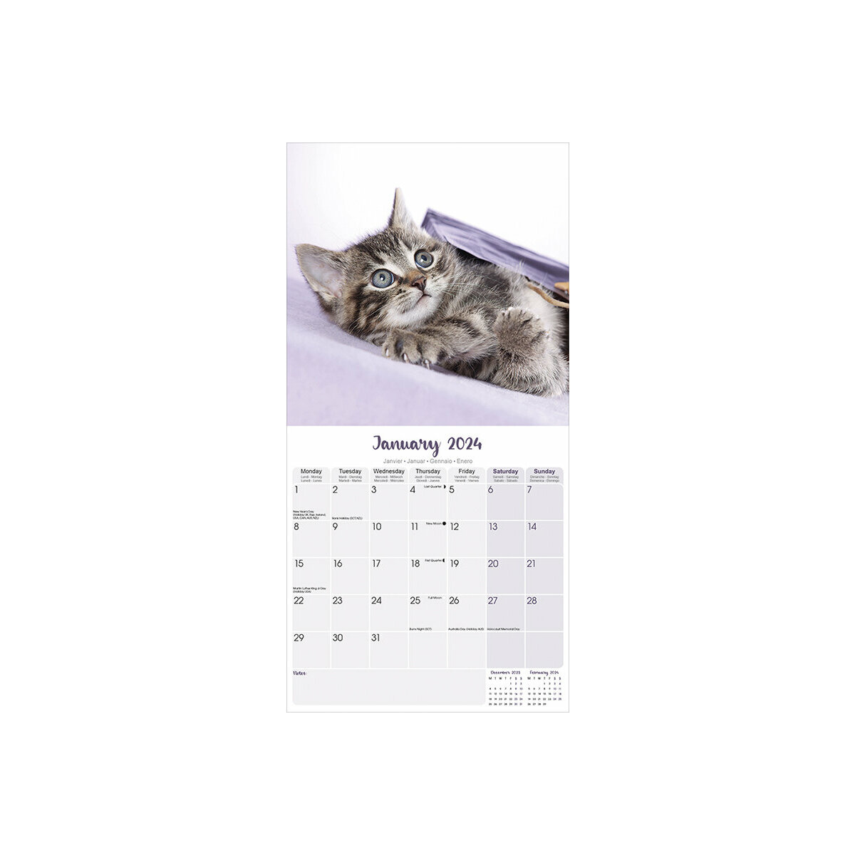 Calendrier 2024 Chatons