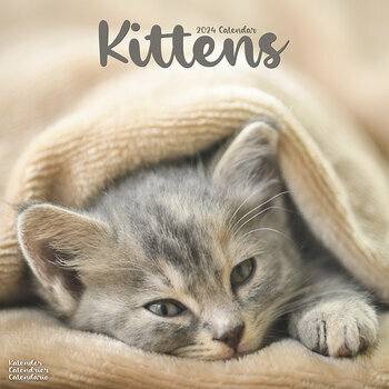 Calendrier 2024 Chatons