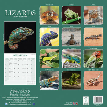 Calendrier 2024 Lézard Calendrier 2024 Lézard