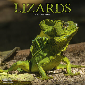 Calendrier 2024 Lézard Calendrier 2024 Lézard