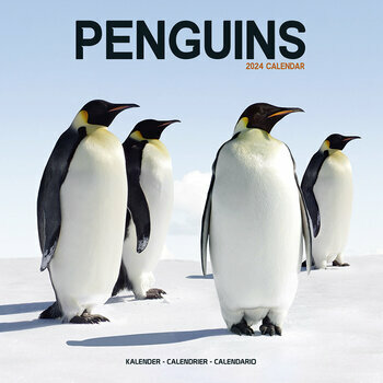 Calendrier 2024 Pingouin Calendrier 2024 Pingouin