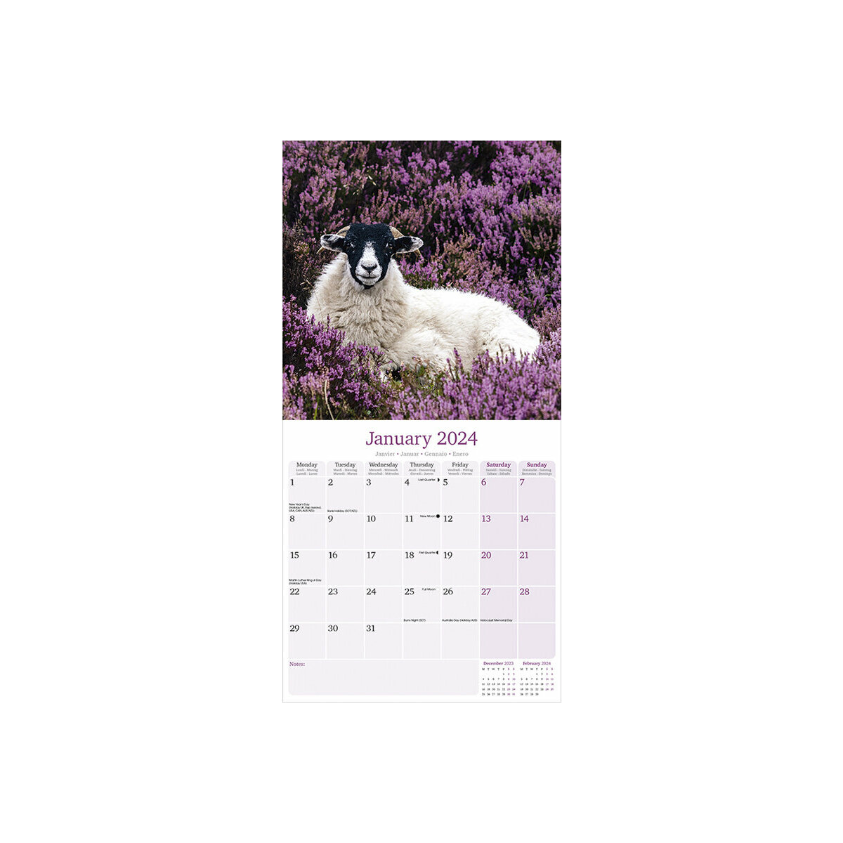 Calendrier 2024 Mouton