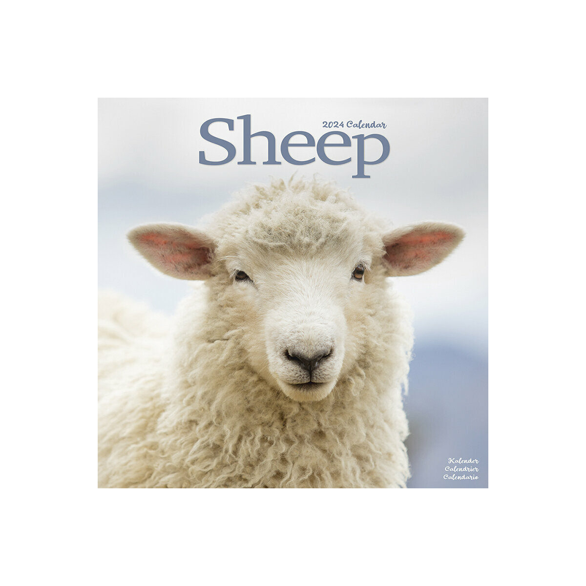 Calendrier 2024 Mouton