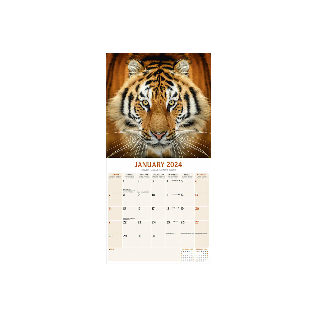 Calendrier 2024 Tigre