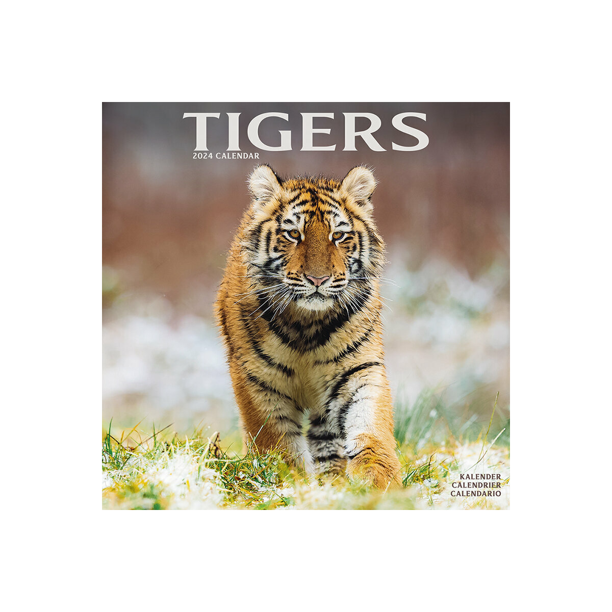 Calendrier 2025 Tigre