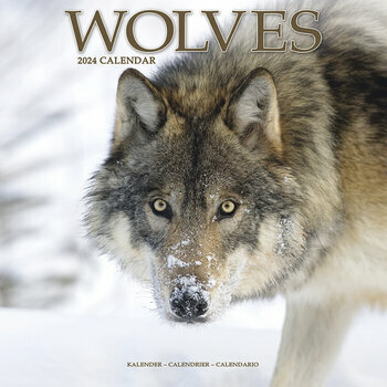 Calendrier 2024 Loup Calendrier 2024 Loup