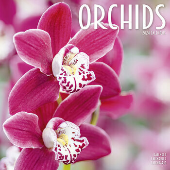 Calendrier 2024 Orchidée