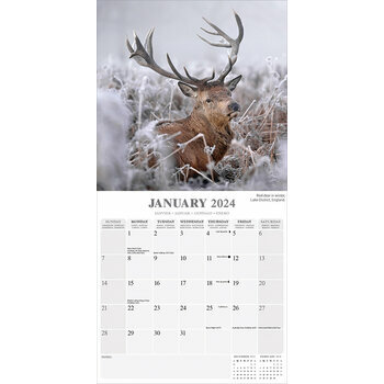 Calendrier 2024 Saison Calendrier 2024 Saison