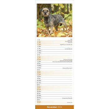 Calendrier 2024 Border terrier slim Calendrier 2024 Border terrier slim