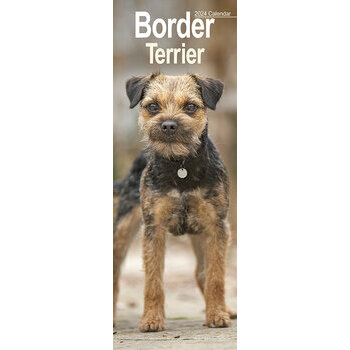 Calendrier 2024 Border terrier slim