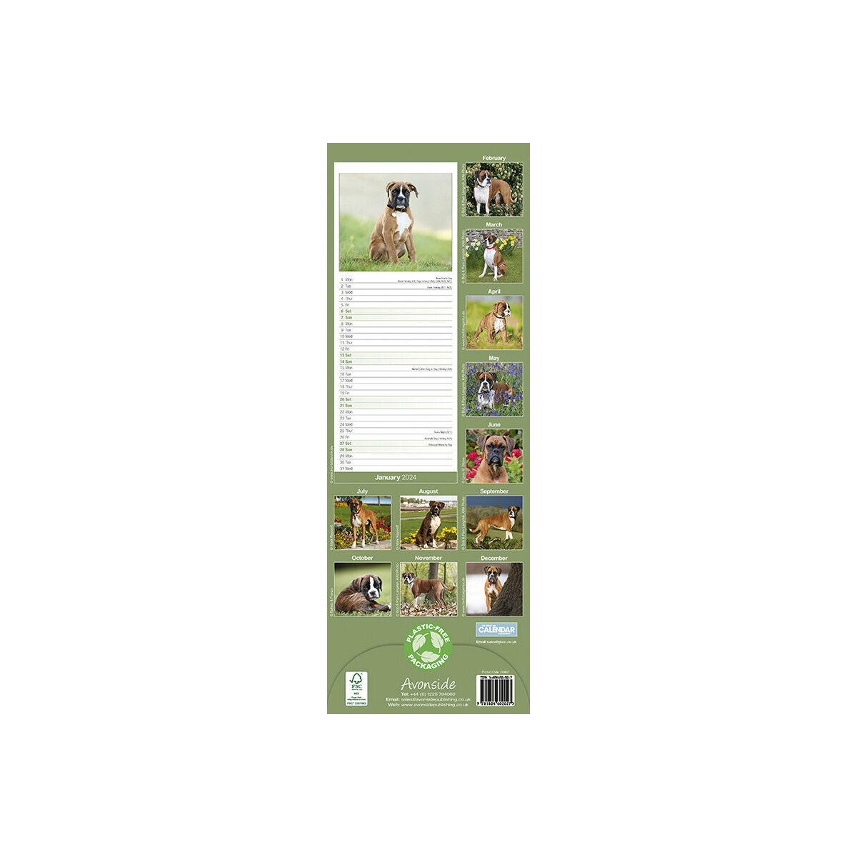 calendrier Boxer slim 2024