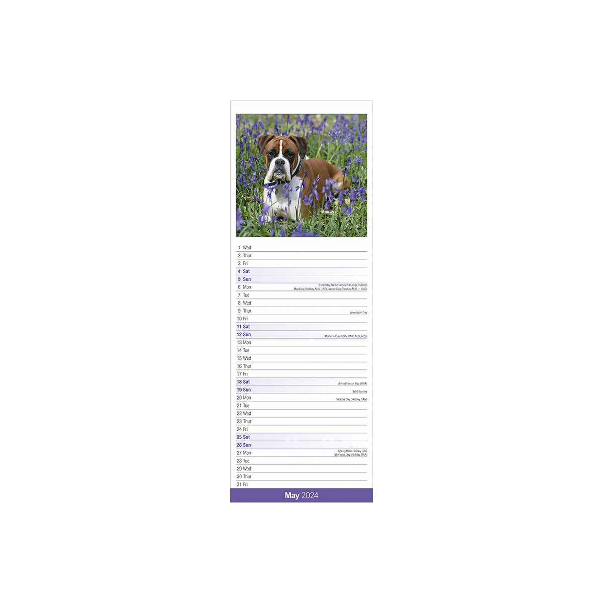 calendrier Boxer slim 2024