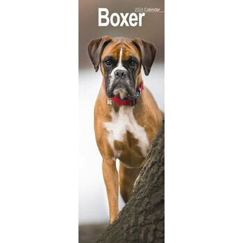 Calendrier 2024 Boxer slim Calendrier 2024 Boxer slim