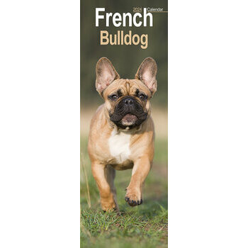Calendrier 2024 Bouledogue français slim Calendrier 2024 Bouledogue français slim
