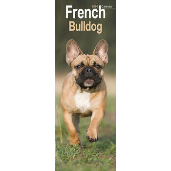 Calendrier 2024 Bouledogue français slim