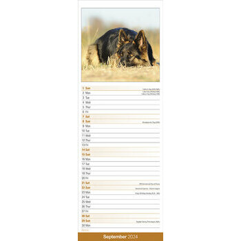 Calendrier 2024 Berger allemand slim Calendrier 2024 Berger allemand slim