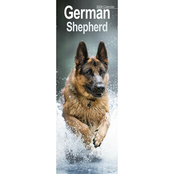 Calendrier 2024 Berger allemand slim Calendrier 2024 Berger allemand slim