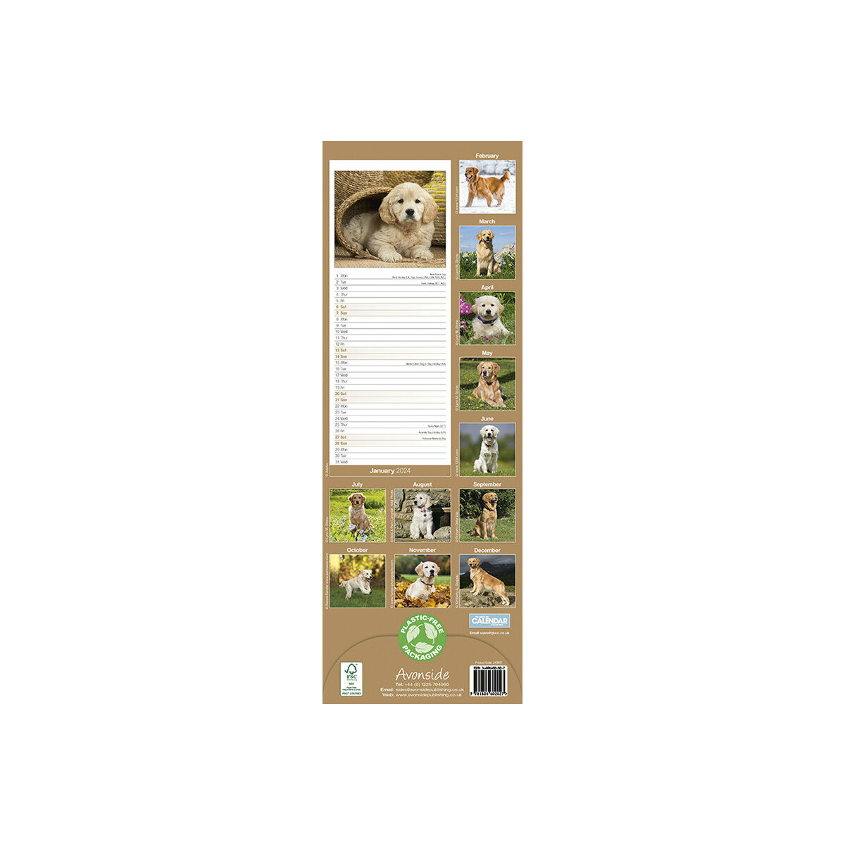 calendrier Golden retriever slim 2024 calendrier Golden retriever slim 2024