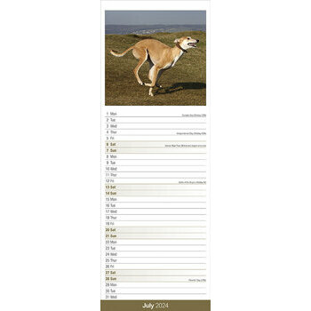 Calendrier 2024 Greyhound slim