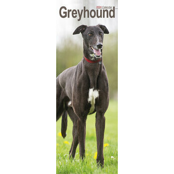 Calendrier 2024 Greyhound slim