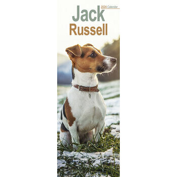 Calendrier 2024 Jack russell terrier slim Calendrier 2024 Jack russell terrier slim