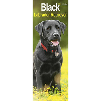 Calendrier 2024 Labrador noir slim Calendrier 2024 Labrador noir slim
