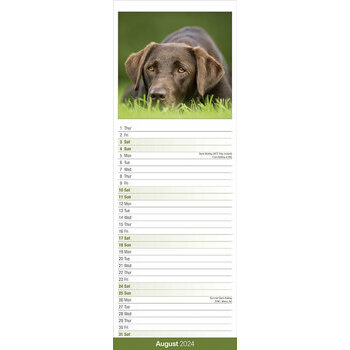 Calendrier 2024 Labrador chocolat slim Calendrier 2024 Labrador chocolat slim