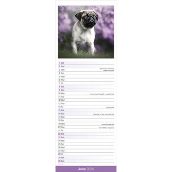 Calendrier 2024 Carlin slim Calendrier 2024 Carlin slim