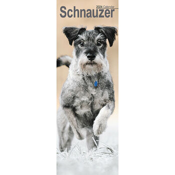 Calendrier 2024 Schnauzer slim