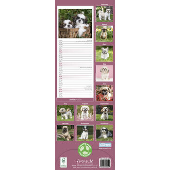 Calendrier 2024 Shih tzu slim