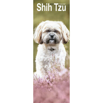 Calendrier 2024 Shih tzu slim Calendrier 2024 Shih tzu slim