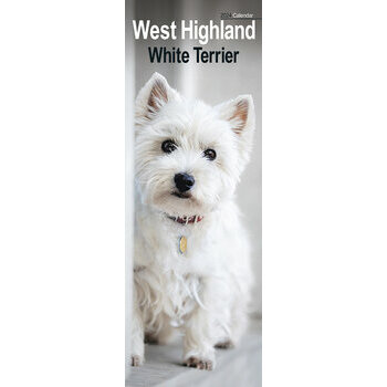 Calendrier 2024 West highland white terrier slim Calendrier 2024 West highland white terrier slim