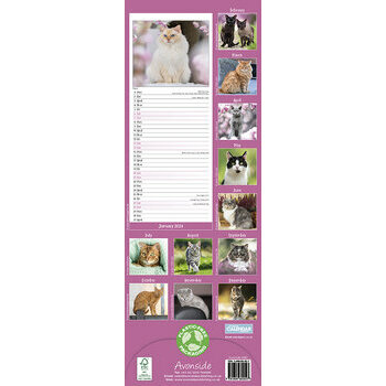 Calendrier 2024 Chat slim Calendrier 2024 Chat slim