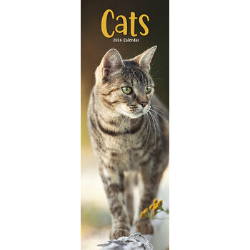 Calendrier 2024 Chat slim Calendrier 2024 Chat slim