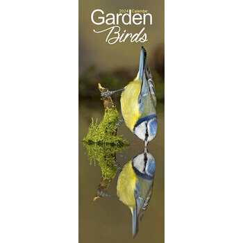 Calendrier 2024 Oiseau du jardin slim